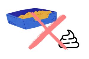 Leia mais sobre o artigo Gato está fazendo cocô fora da caixa de areia. Antes não fazia.