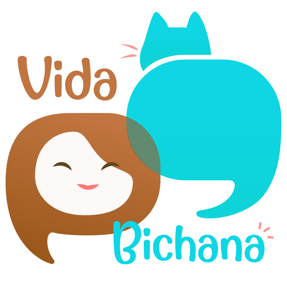 Meu gato não quer comer: o que pode ser e o que fazer