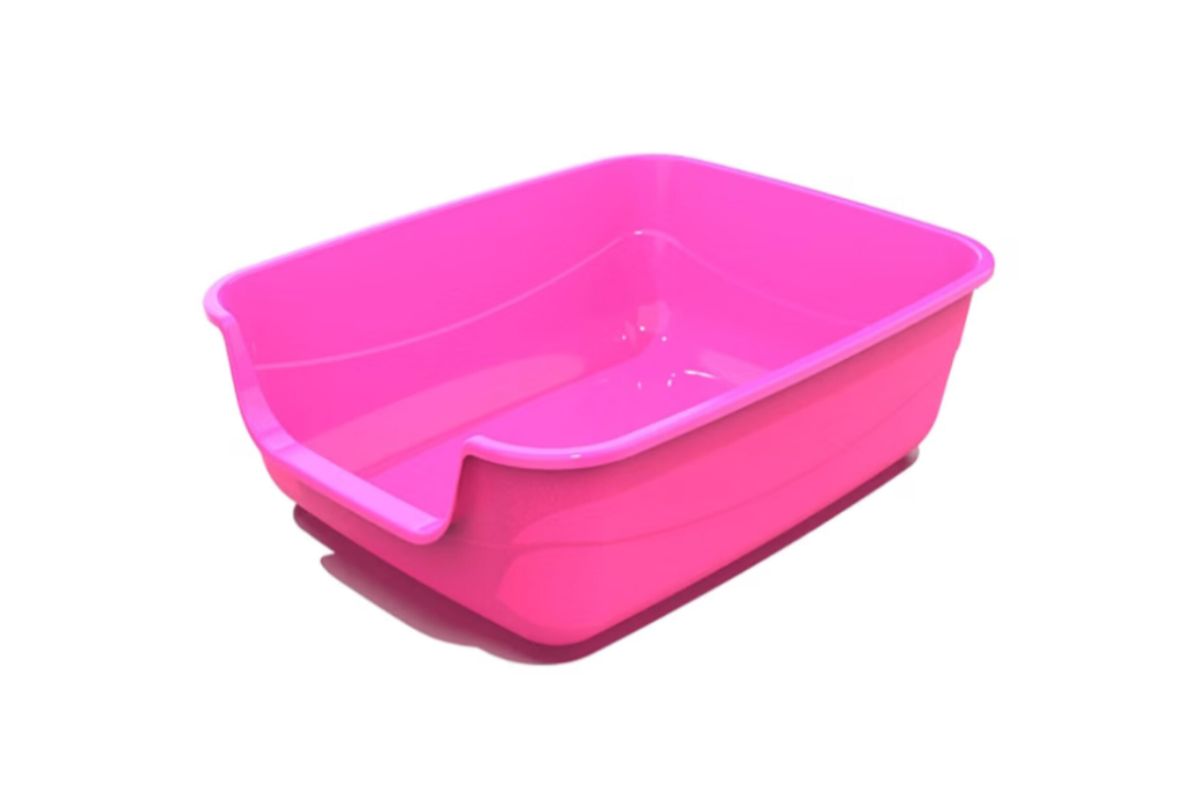 qual-a-melhor-caixa-de-areia-para-gatos
