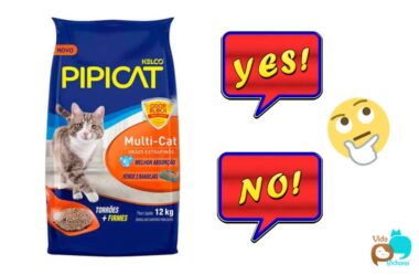 Areia Pipicat Multicat 12kg: Review Completo — Vale a Pena?