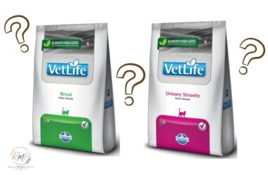 Qual a diferença entre ração renal e ração urinária para gatos?