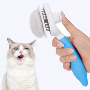 escova-gato