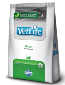 melhor-racao-renal-gatos