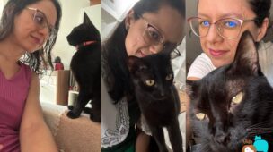 vantagens-de-ter-gato-preto