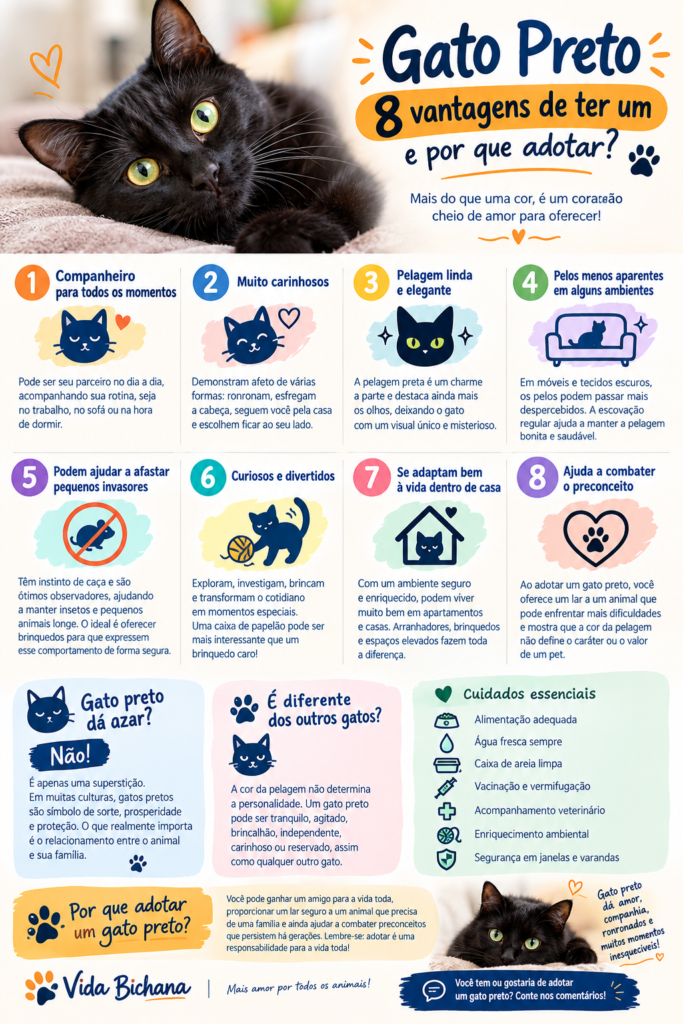 vantagens-gato-preto-infografico
